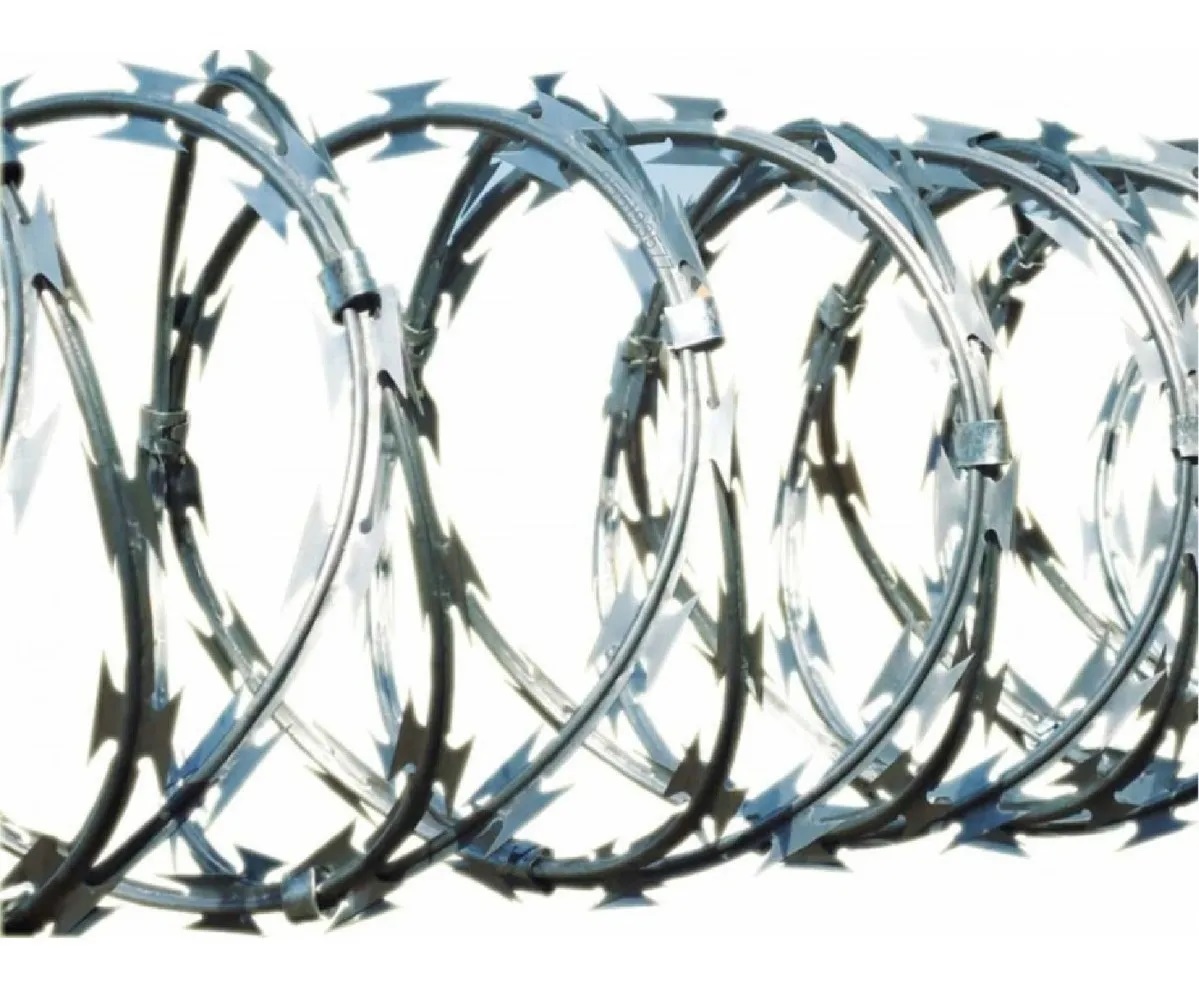 concertinas para el perimetro